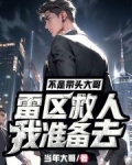 不是带头大哥:我准备去雷区救人