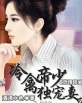 燃情掠爱:冷禽帝少独宠妻