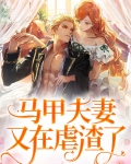 马甲夫妻又在虐渣了