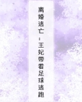 离婚逃亡:王妃带着足球逃跑