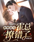 新婚霸爱:霍总,撩错了!