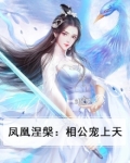 凤凰涅槃:相公宠上天