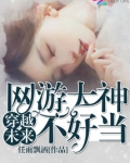 穿越未来:网游大神不好当