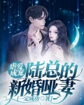 虐爱成宠:陆总的新婚哑妻