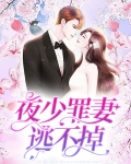 夜少罪妻逃不掉