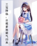 三宝降临:总裁爹地霸气归来