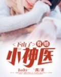 下山了,赘婿小神医