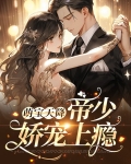萌宝天降:帝少娇宠上瘾