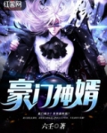 豪门神婿
