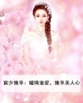 宸少独享:缱绻宠爱,独享美人心