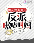炮灰貌美如花,反派嗷嗷叫妈