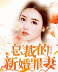 总裁的新婚罪妻