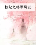 权妃之将军风云