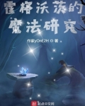 霍格沃茨的魔法研究
