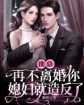沈总,再不离婚你媳妇就造反了