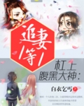 杠上腹黑大神:追妻1等1