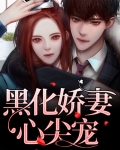 黑化娇妻心尖宠