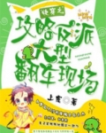 快穿之攻略反派大型翻车现场
