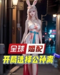 全球婚配:开局选择公孙离