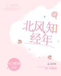 北风知经年