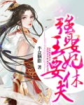 强娶王妃要休夫