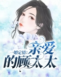 一婚定情:亲爱的顾太太