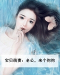 宝贝萌妻:老公,来个抱抱
