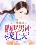 一网情深:国民男神宠上天