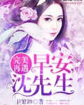 完美再遇:早安,沈先生