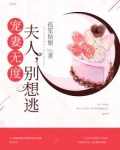 宠妻无度:夫人,别想逃