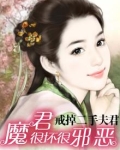 魔君很坏很邪恶:戒掉二手夫君