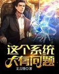 这个系统大有问题