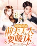错婚诱情:前夫大大要暖床