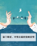 豪门霸爱,冷情总裁的强制爱情