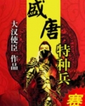 盛唐特种兵