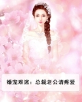 婚宠难逃:总裁老公请疼爱