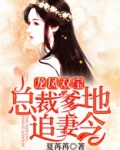 龙凤双宝:总裁爹地追妻令
