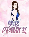 挚恋闪婚甜妻