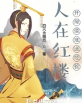 人在红楼,开局倭寇送经验