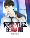 你惹不起的赘婿