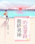傲娇男神的追妻路