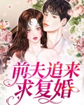 前夫追来求复婚