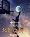 NBA之水货总教头