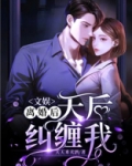 文娱:离婚后,天后纠缠我