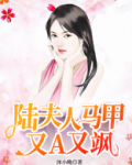 陆夫人马甲又A又飒