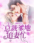 傲娇双宝:总裁爹地追妻忙