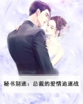 秘书别逃:总裁的爱情追逐战