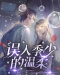 误入季少的温柔