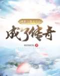 网游之我不小心成了传奇
