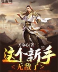 这个新手无敌了
